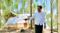 Tanam 34 Pohon Khas Indonesia, Presiden Jokowi Rancang IKN Nusantara Tak Rusak Hutan dan Alam