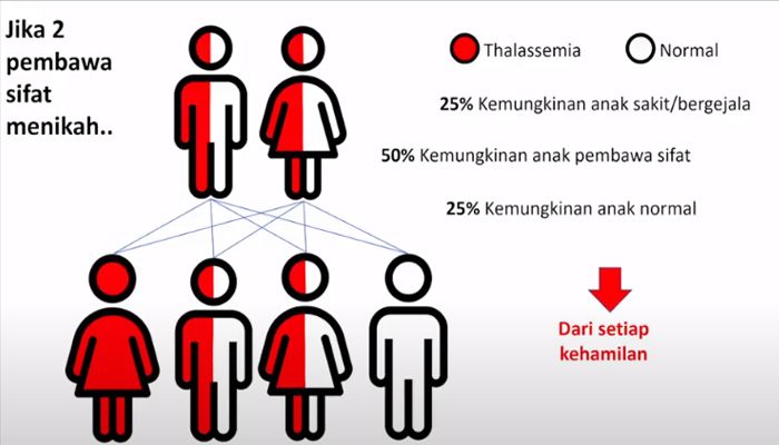 Apa Itu Talasemia? Yuk Hindari Penyakit Keturunan Ini dengan Cara Deteksi Dini