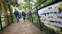 Tinjau Langsung Kondisi Taman Kota, Pemkot Bandung Pastikan dalam Kondisi Terpelihara