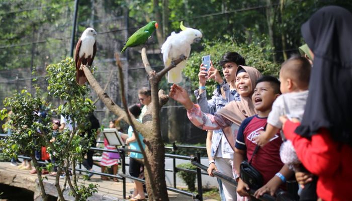 Mengenal Sejarah Kebun Binatang Bandung yang Didirikan pada Tahun 1933