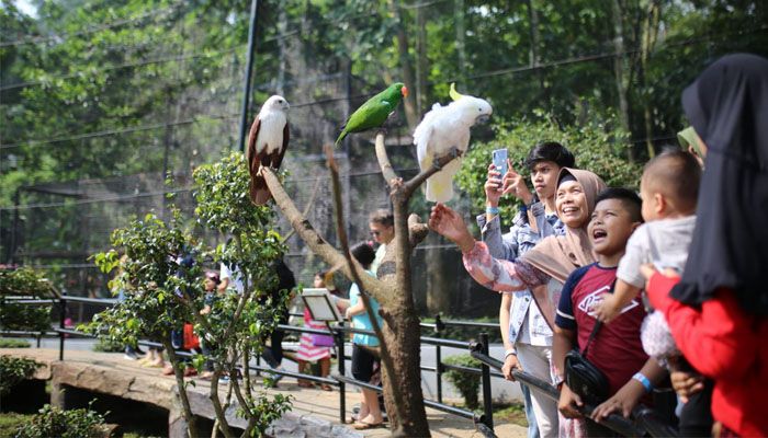 Begini Sejarah Panjang Kebun Binatang Bandung Menurut Pakar Sejarah UPI