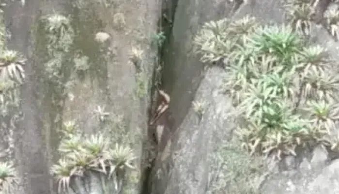 Heboh Ditemukan Pendaki Telanjang Bulat Terjebak di Celah Tebing Batu