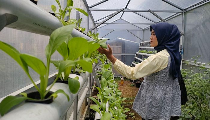 Manfaatkan Lahan Kosong, Rumah Edukasi Motekar Jadi Pusat Edukasi Masyarakat