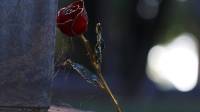 Terbongkar! Kasus Mati Suri di Bogor Akal-akalan untuk Hindari Hal Ini, Polisi Lakukan Pengusutan
