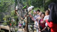 Sah! Sesuai Keputusan Pengadilan Pemkot Bandung Pemilik Lahan Kebun Binatang