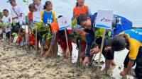 Jaga Kelestarian Alam dan Tekan Emisi Karbon, JMI Tanam Mangrove Untuk Indonesia 