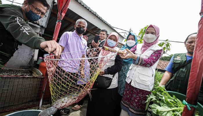 Jadi Ujung Tombak Tekan Angka Stunting, TP PKK Kota Bandung Panen Raya Lele Budikdamber