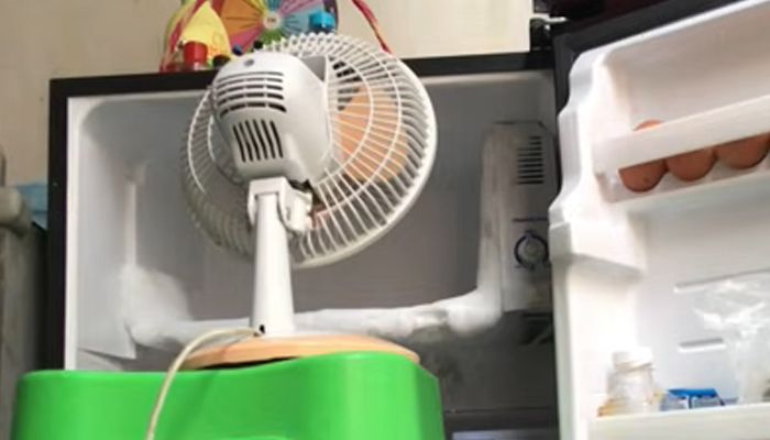 Cara Cepat Membersihkan Bunga Es Freezer Kulkas Dengan Cepat dan Aman, Tonton Videonya di Sini Pasti Paham