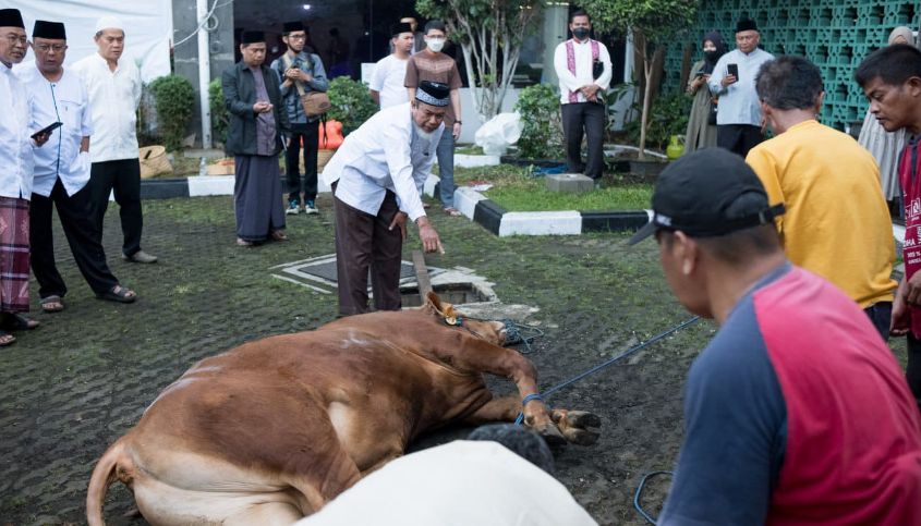 Meski Beda Waktu Salat Iduladha, Penyembelihan Hewan Kurban di Kota Bandung Tetap Serempak