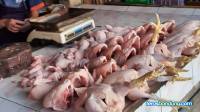 Harga Daging Ayam dan Cabai di Bandung Masih Tinggi, Ini Penyebabnya