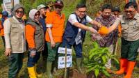Peringati Hari Bumi, Kang Ace Tanam Ribuan Pohon di Bandung Barat