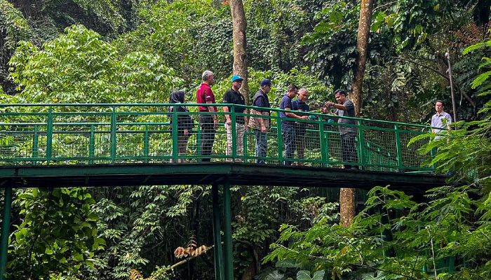 Yuk Belajar Flora Fauna dan Berpetualang di Hutan Kota Forest Walk Babakan Siliwangi