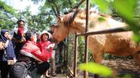 Pemkot Bandung Terus Upayakan Pengamanan Aset Kebun Binatang