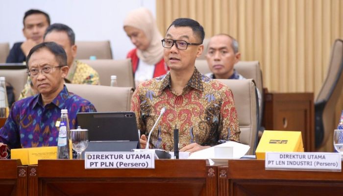 PLN Ajukan Rp3 Triliun PMN 2025 untuk Bangun Kelistrikan Daerah Terpencil