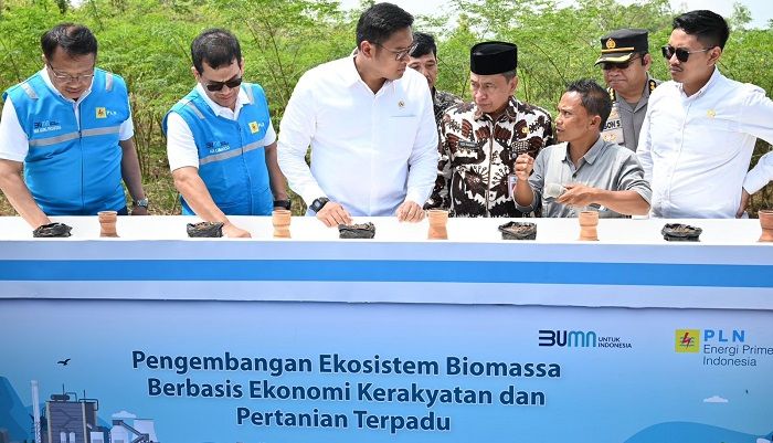 Terus Kembangkan Bahan Co-Firing Biomassa, PLN dan Kementan Luncurkan Model Pertanian Terpadu