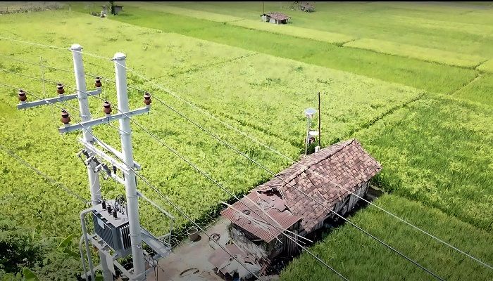 Dukung Tranformasi Pertanian Modern, Electrifying Agriculture PLN Raih 53.539 Pelanggan Baru di 2024