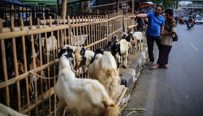 Pemkot Bandung Tegas, Larang Pedagang Hewan Kurban Berjualan di Trotoar