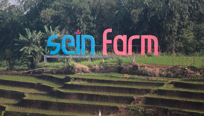 Bandung Jadi Pusat Pengembangan Sorgum Nasional