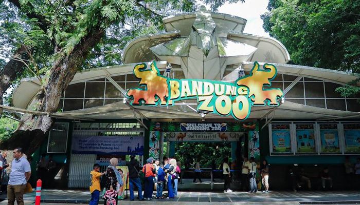 Pemkot Bandung Tegaskan Tidak Biarkan Aset Bonbin Dikelola Tanpa Manfaat bagi PAD