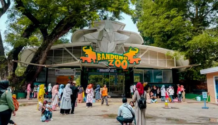 Bandung Zoo Belum Dibuka Resmi, Antusiasme Warga Justru Membludak Jadi Magnet Libur Sekolah