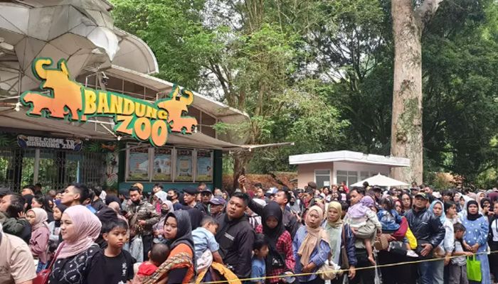 Antrean Mengular! Bandung Zoo Jadi Primadona Penutup Libur Panjang