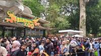 Antrean Mengular! Bandung Zoo Jadi Primadona Penutup Libur Panjang