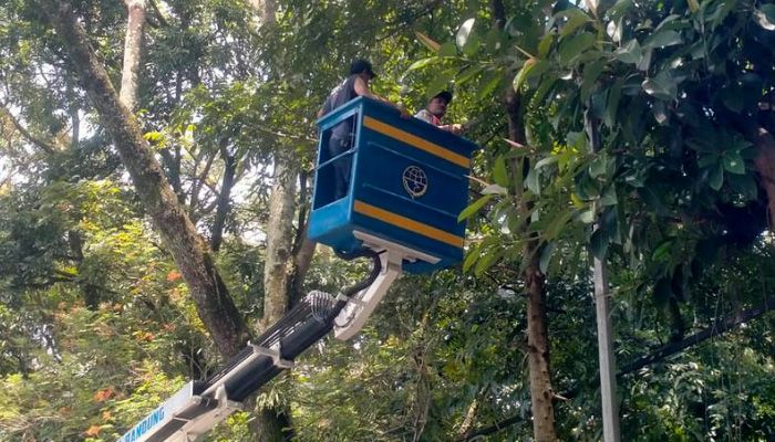 Respon Cepat! Aduan Warga Soal Lampu Jalan Langsung Ditindak 1x24 Jam