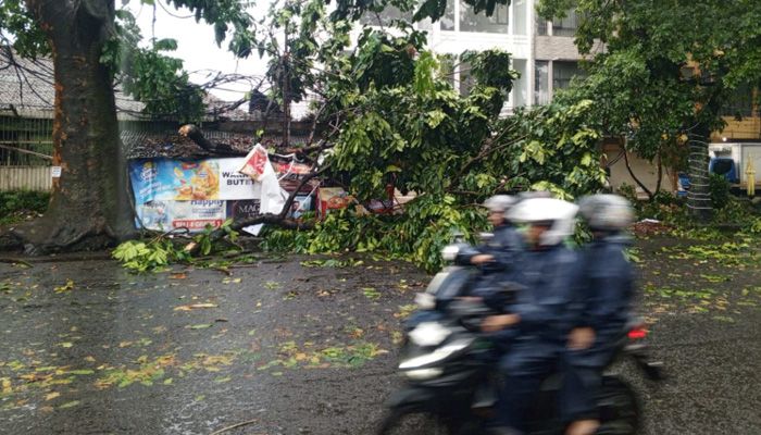 Bandung Diterjang Hujan Ekstrem: 34 Kejadian Darurat Terjadi dalam Hitungan Jam, Pohon Tumbang, Baliho Roboh, Tanggul Jebol