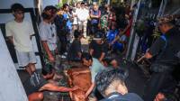 Sapi Kurban dari Wali Kota Bandung Bawa Kebahagiaan bagi Warga Cicadas
