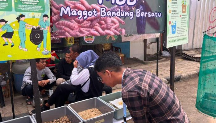 Bukan Sekadar Atasi Sampah, Maggot di Bandung Bisa Bantu Pangkas Pengeluaran Rumah Tangga