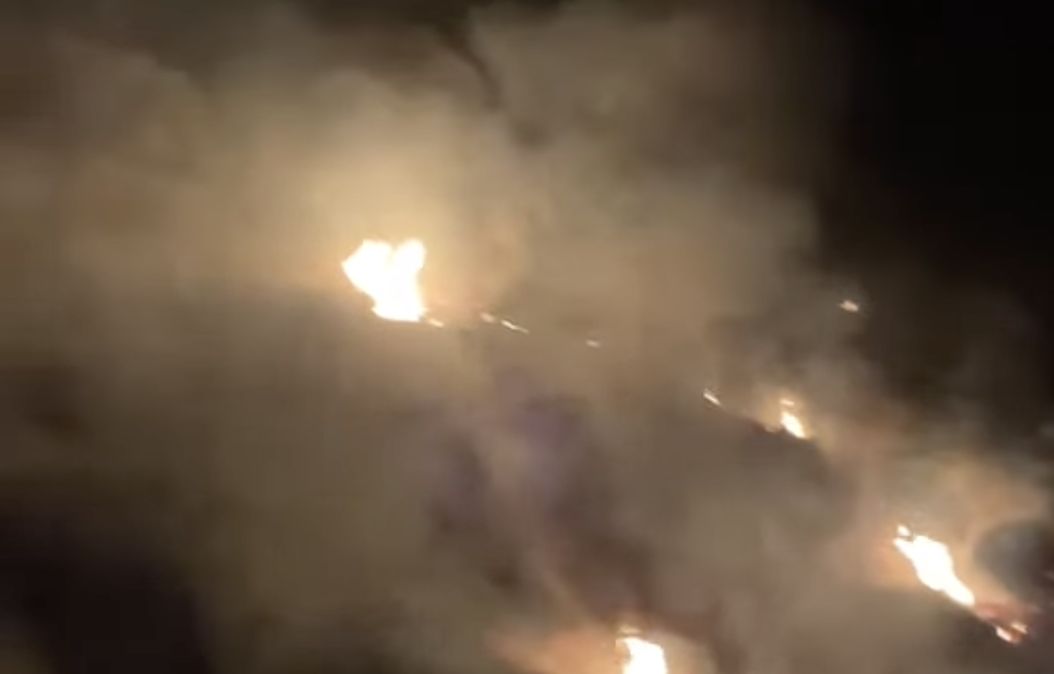 Beredar Video Diduga Kebakaran Perkebunan Kina Bukit Unggul Bandung