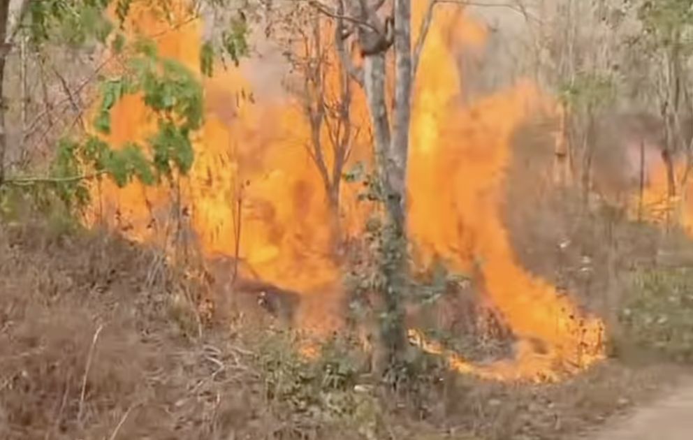 Karhutla Gunung Ciremai Kuningan Meluas, Api Sulit Dipadamkan karena Angin Kencang