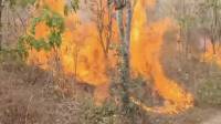 Karhutla Gunung Ciremai Kuningan Meluas, Api Sulit Dipadamkan karena Angin Kencang