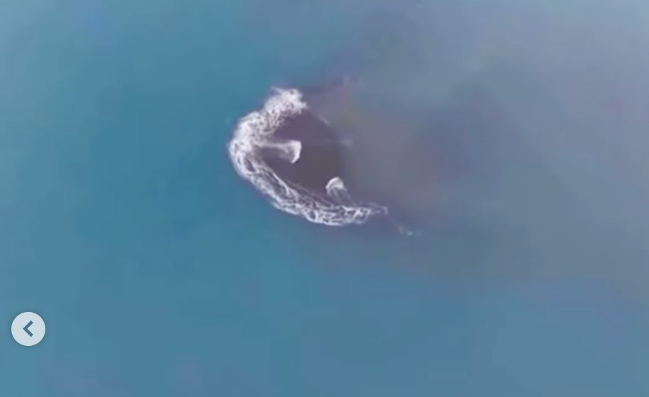 Daratan Baru Seluas 30,3 Hektare Muncul di Sekitar Gunung Anak Krakatau, Ini Faktanya