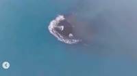 Daratan Baru Seluas 30,3 Hektare Muncul di Sekitar Gunung Anak Krakatau, Ini Faktanya