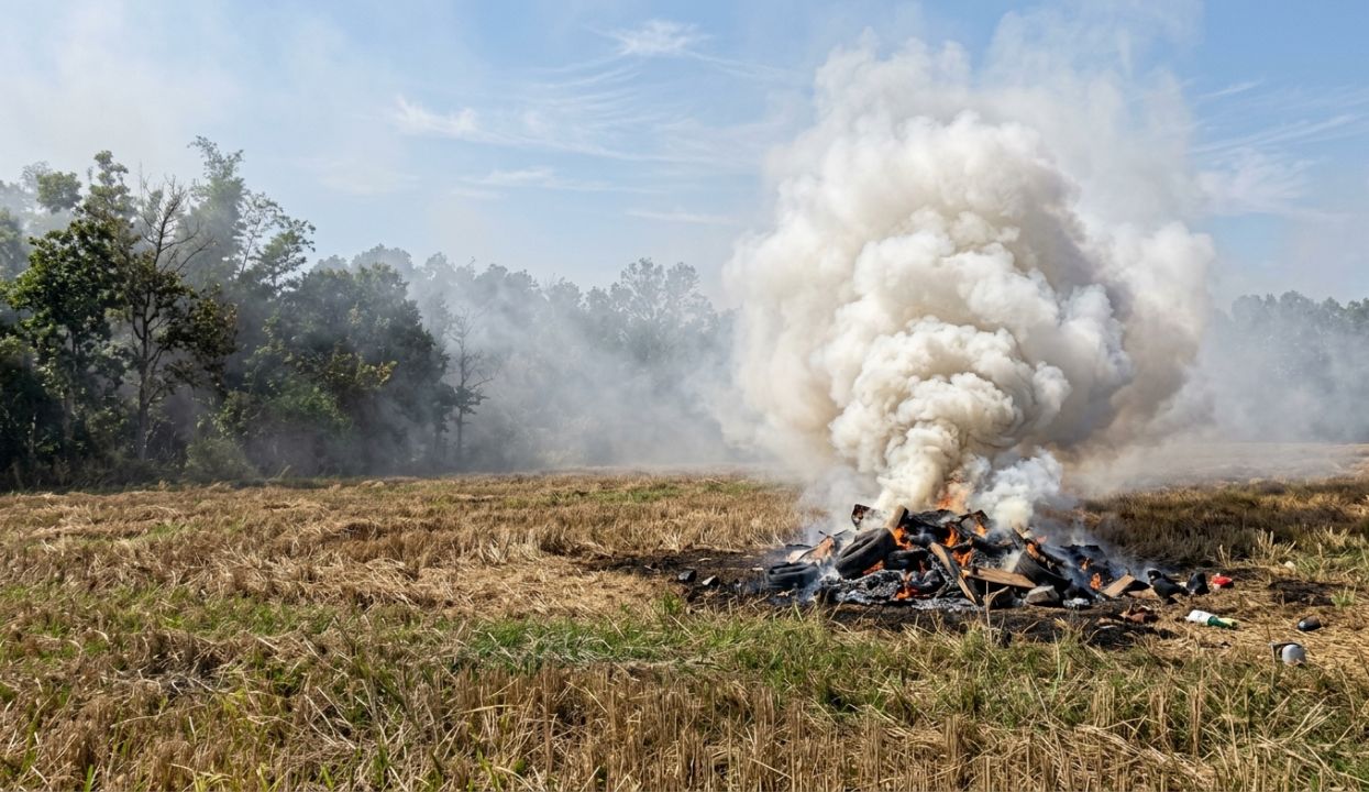 Risiko Bakar Jerami Setelah Panen, Bisa Picu Kebakaran hingga Ganggu Kesehatan